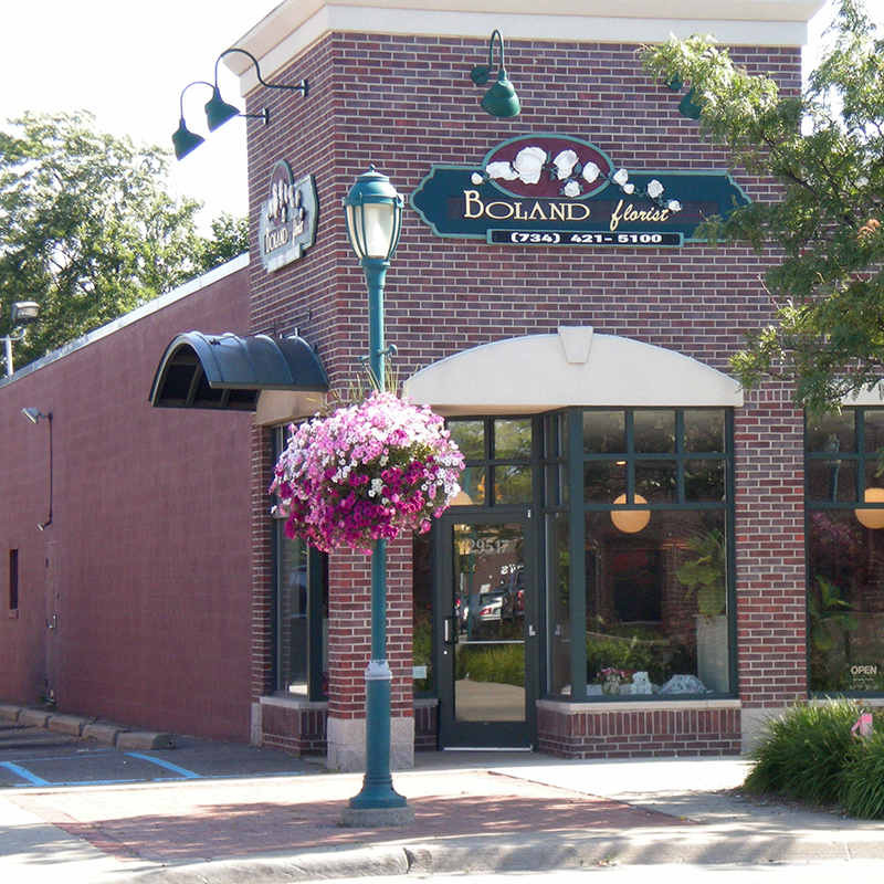 Ford Road Streetscape